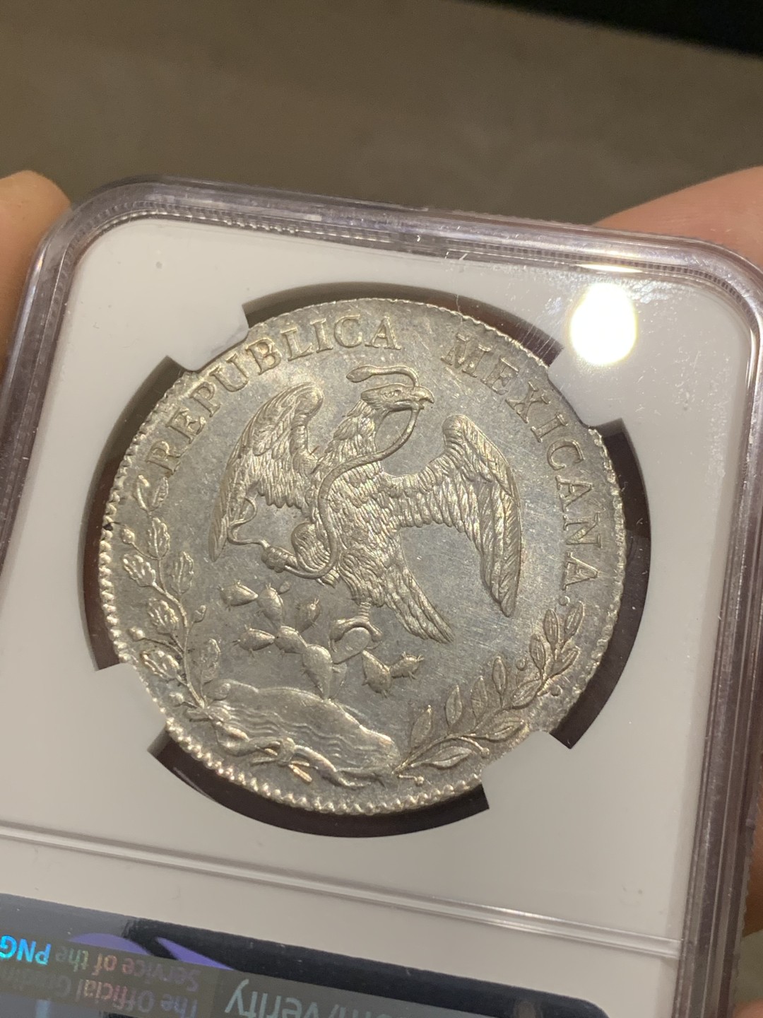 《竞宝斋》第46场-本周日，周一2场连拍（全场顺丰包邮） NGC MS62 墨西哥 1893年 花边鹰洋 底光十足 PL底板