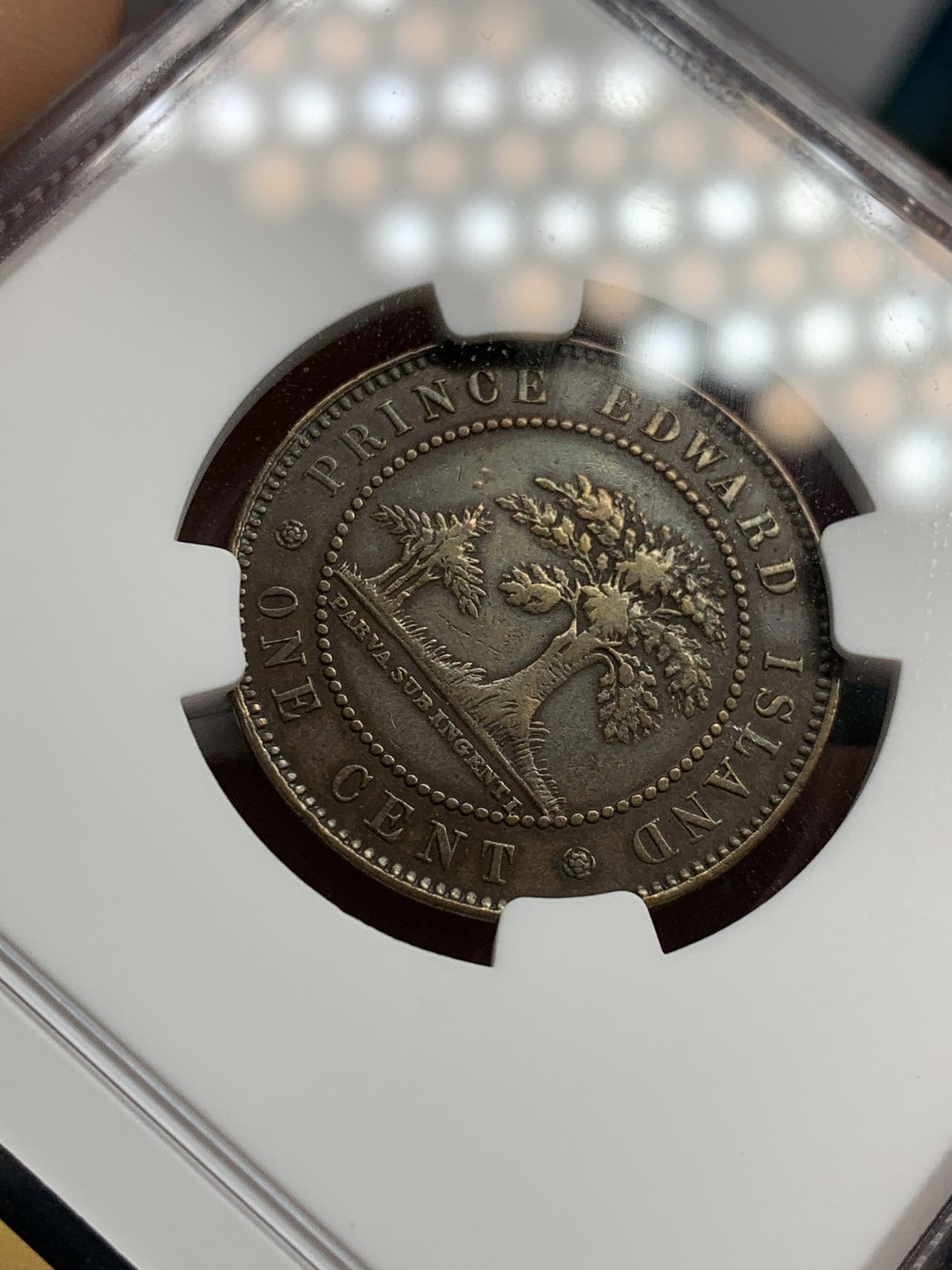 《竞宝斋》第46场-本周日，周一2场连拍（全场顺丰包邮） NGC 评级 少见好品 1871年 加拿大 爱德华王子岛 1C铜币