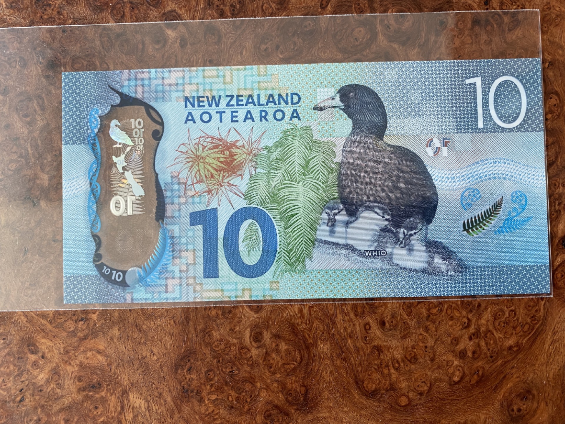 Chase Auction 第6期- - 中外纸币、硬币、民国钞联拍！ 新西兰10镑，塑料钞一张，unc，最佳纸币同版！