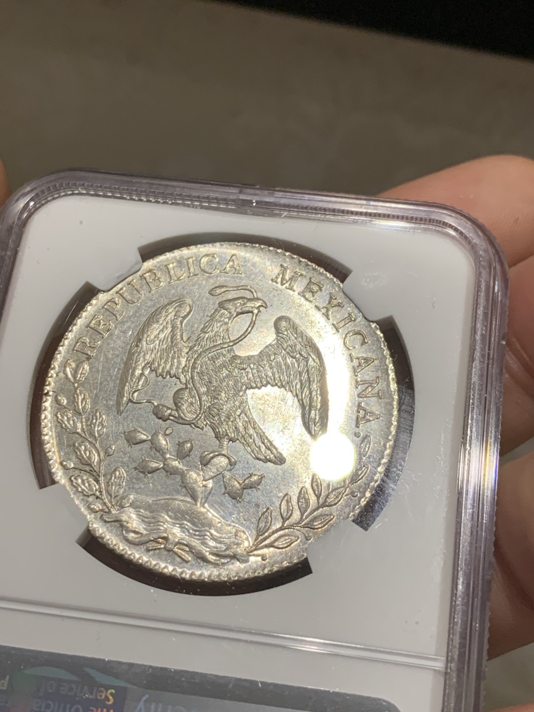 《竞宝斋》第46场-本周日，周一2场连拍（全场顺丰包邮） NGC MS62 墨西哥 1893年 花边鹰洋 底光十足 PL底板