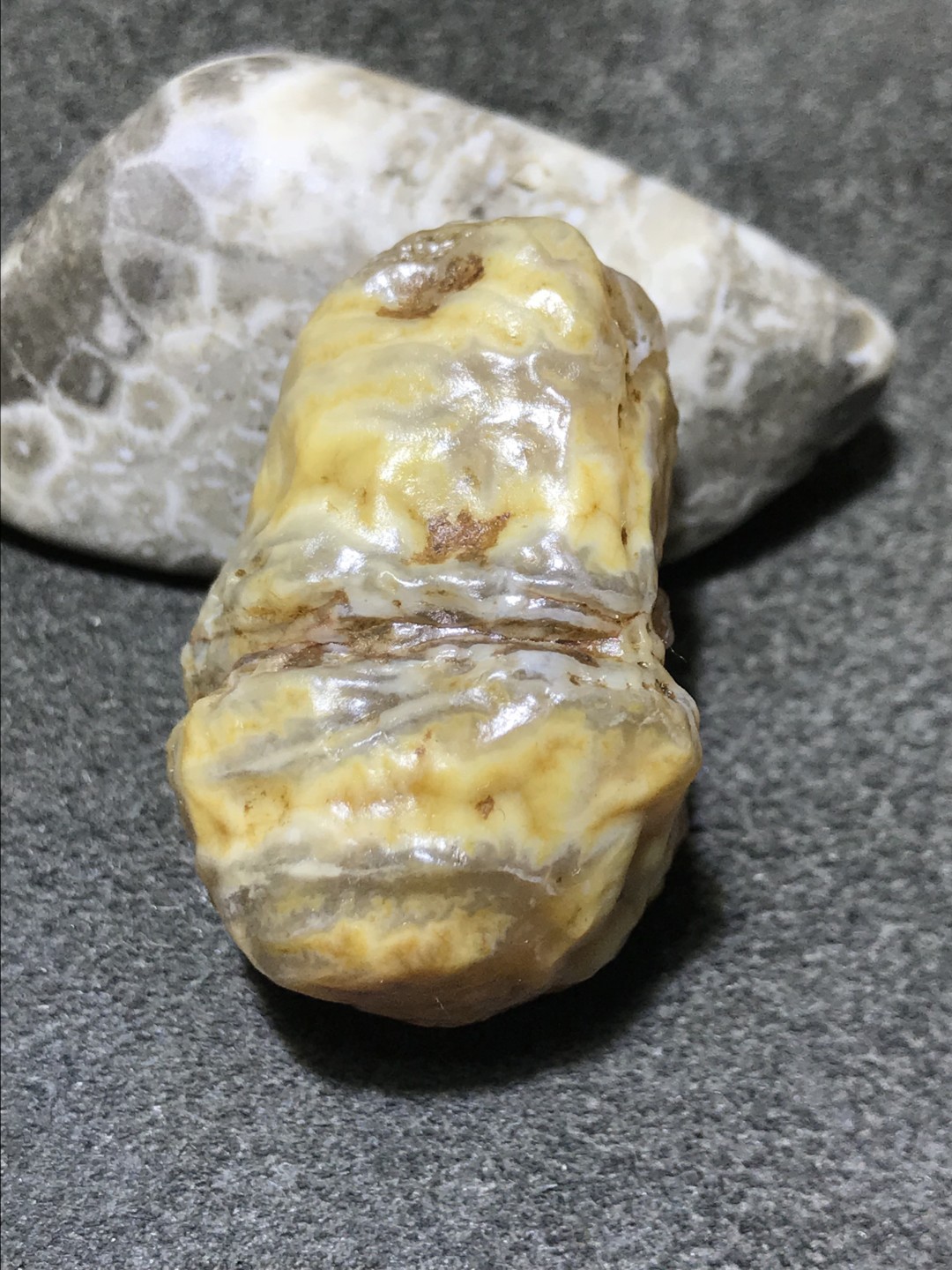 精美戈壁高玉化血脉筋脉石原石一颗