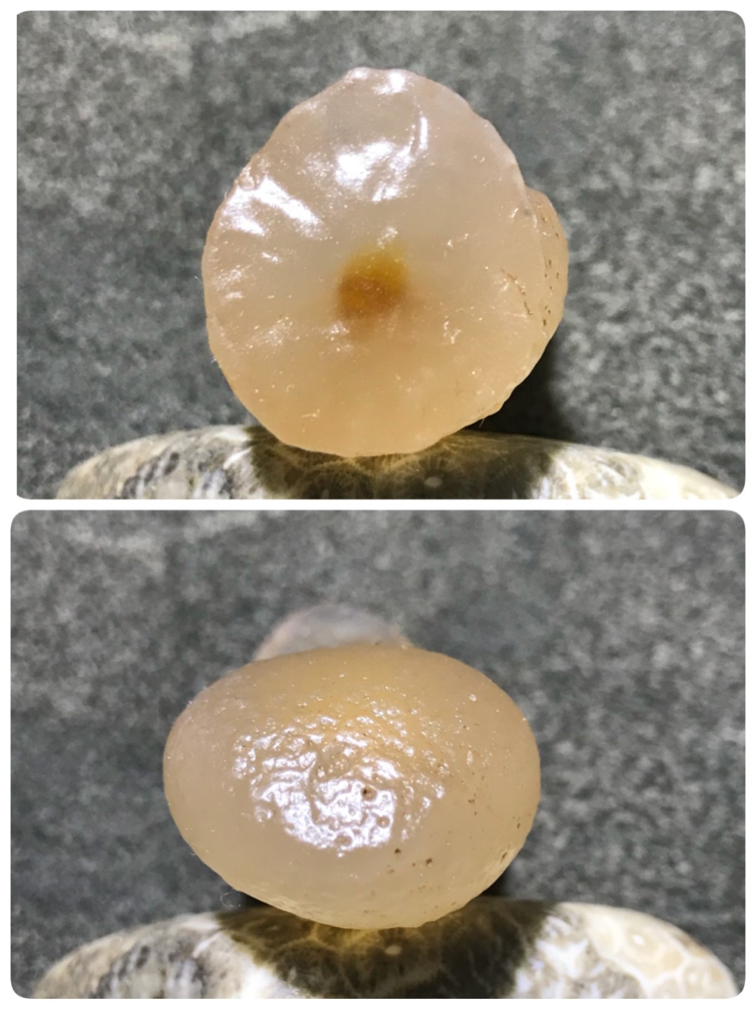 放福利！精美天然戈壁糖心玛瑙象形生命之源原石一颗