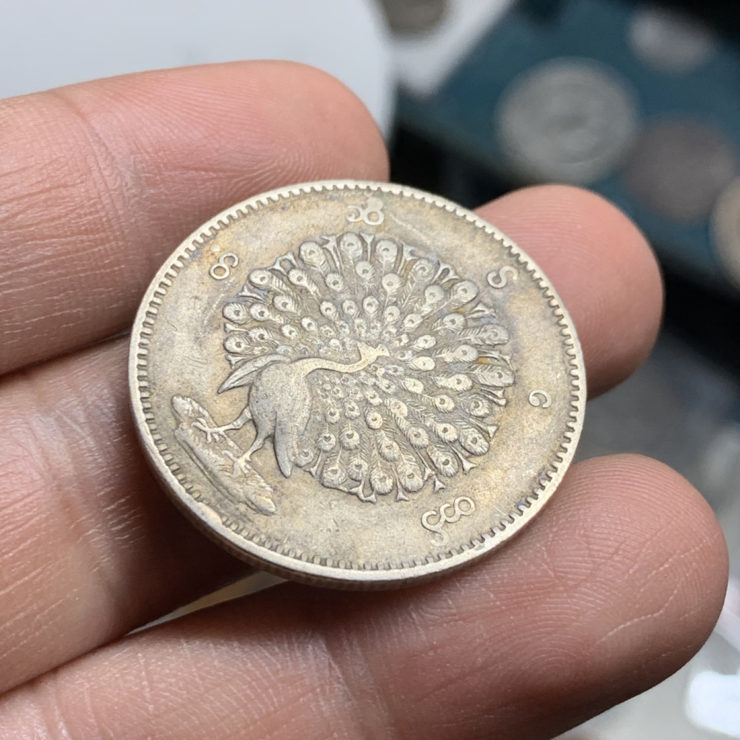 《竞宝斋》第47场-本周日，周一2场连拍（全场不限金额包邮） 最美动物  1852年缅甸孔雀开屏KYAT银币  缅甸第一套机制币 原味包浆