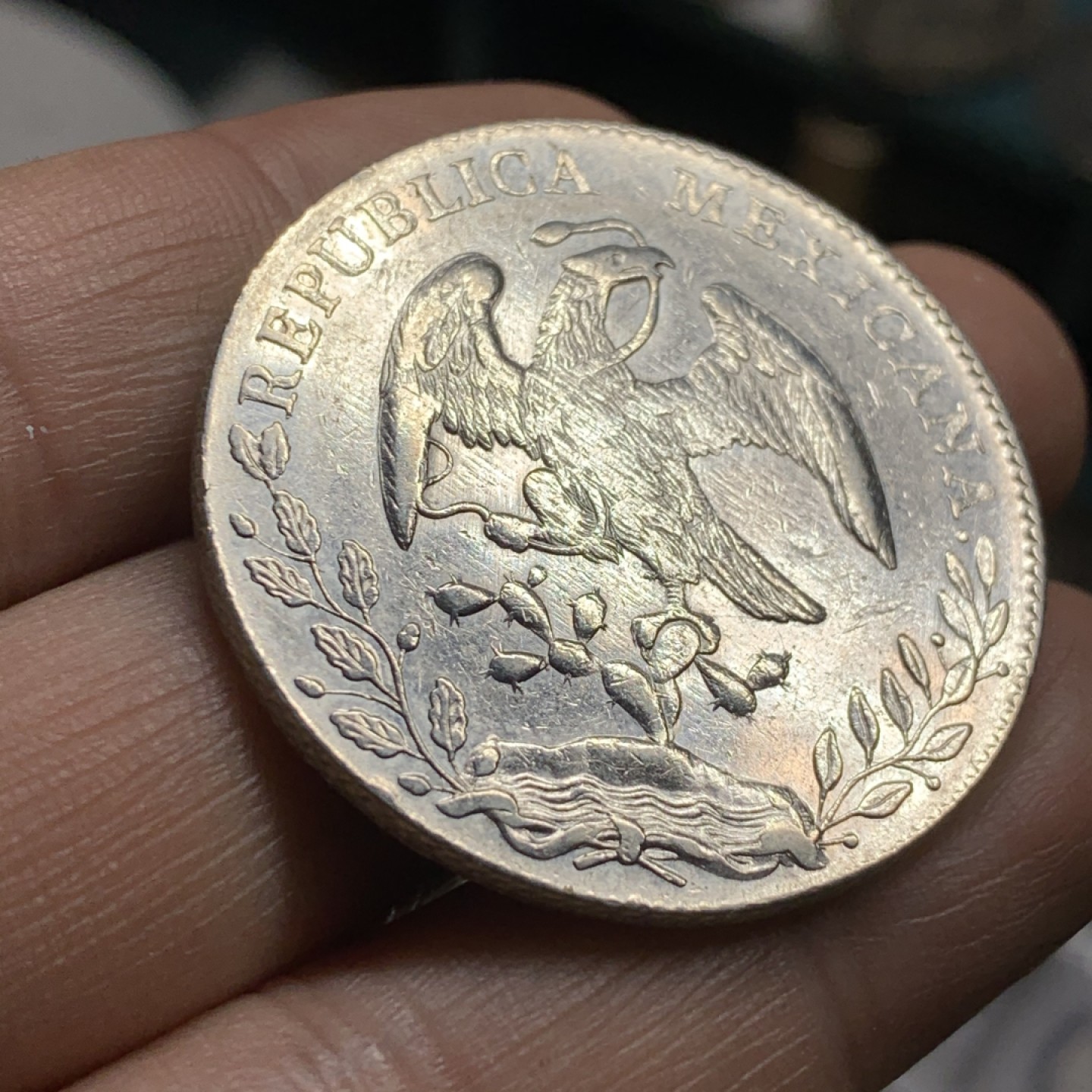 《竞宝斋》第47场-本周日，周一2场连拍（全场不限金额包邮） 墨西哥 1895年 MO AM 鹰洋8R 大银币 好品