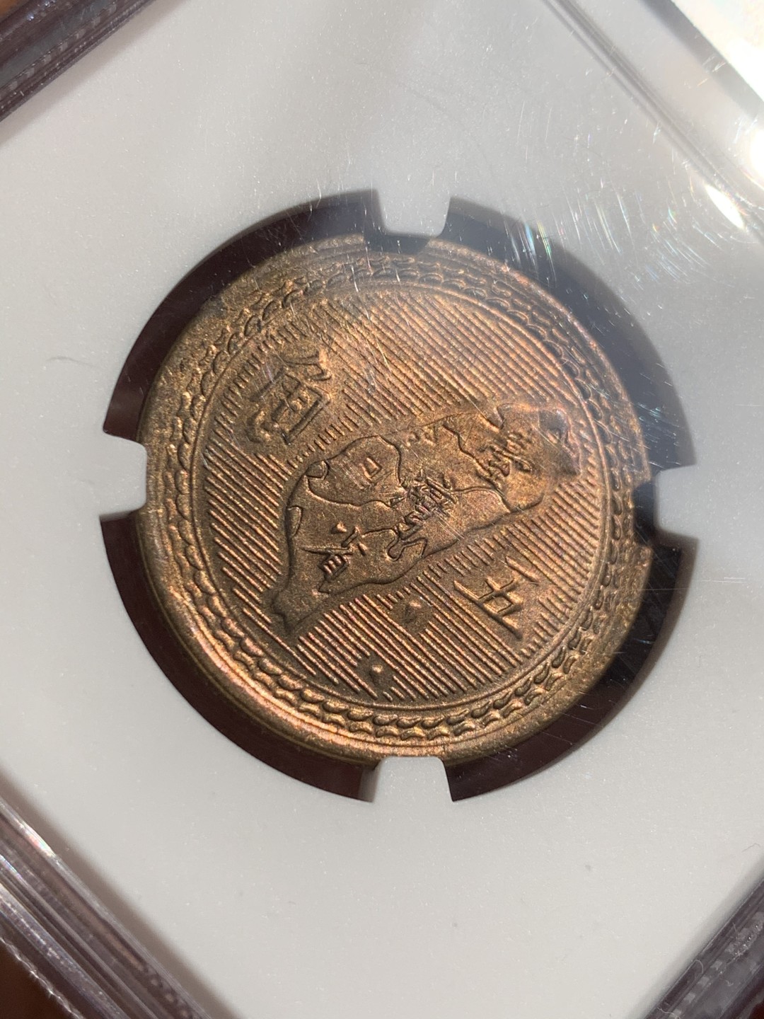 《竞宝斋》第48场-本周日，周一2场连拍（全场不限金额包邮） NGC-MS64 台湾 1954年 5角 孙像地瓜五角 铜币 黄铜原光 高分好品