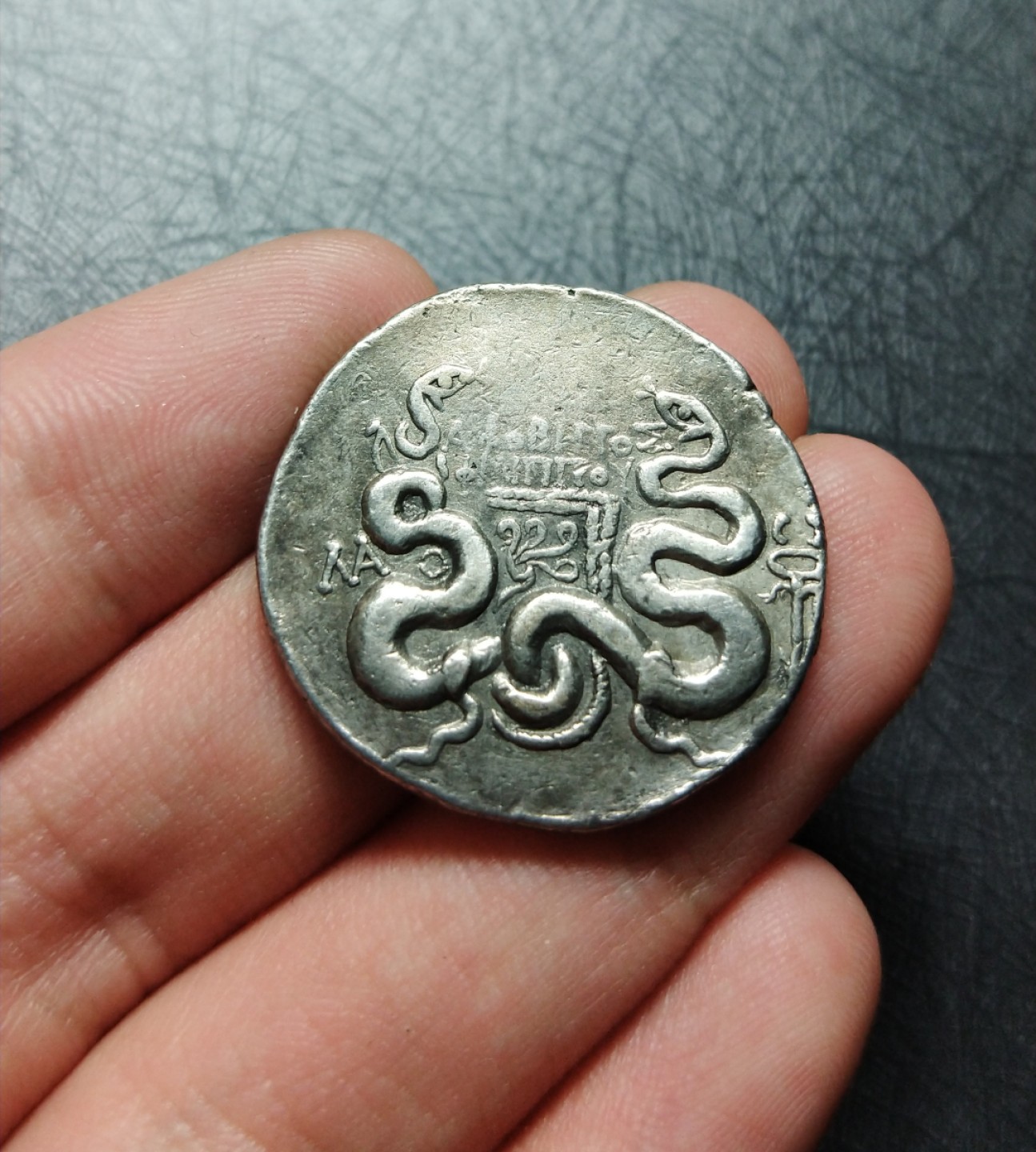 【古希腊币】老底嘉城蛇篮4德拉克马银币少见品种  【古希腊币】老底嘉城蛇篮4德拉克马银币少见品种 