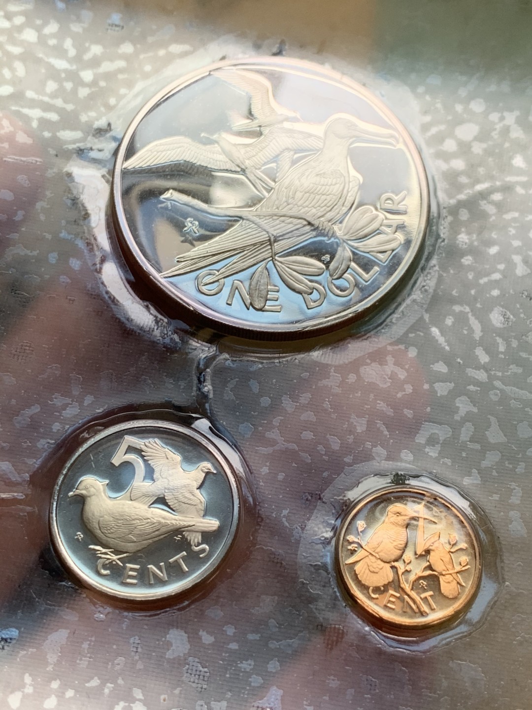 《竞宝斋》第49场-本周日，周一2场连拍（全场不限金额包邮） 英属 维京群岛  1973年 盒装 6枚装套币  含一枚25.7克925大银币  原封未氧化 状态一流