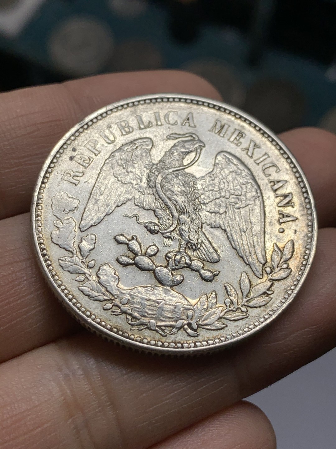 《竞宝斋》第49场-本周日，周一2场连拍（全场不限金额包邮） 墨西哥 1900年 MO AM 直边鹰洋 1比索 大银币 爆羽好品 可以收藏