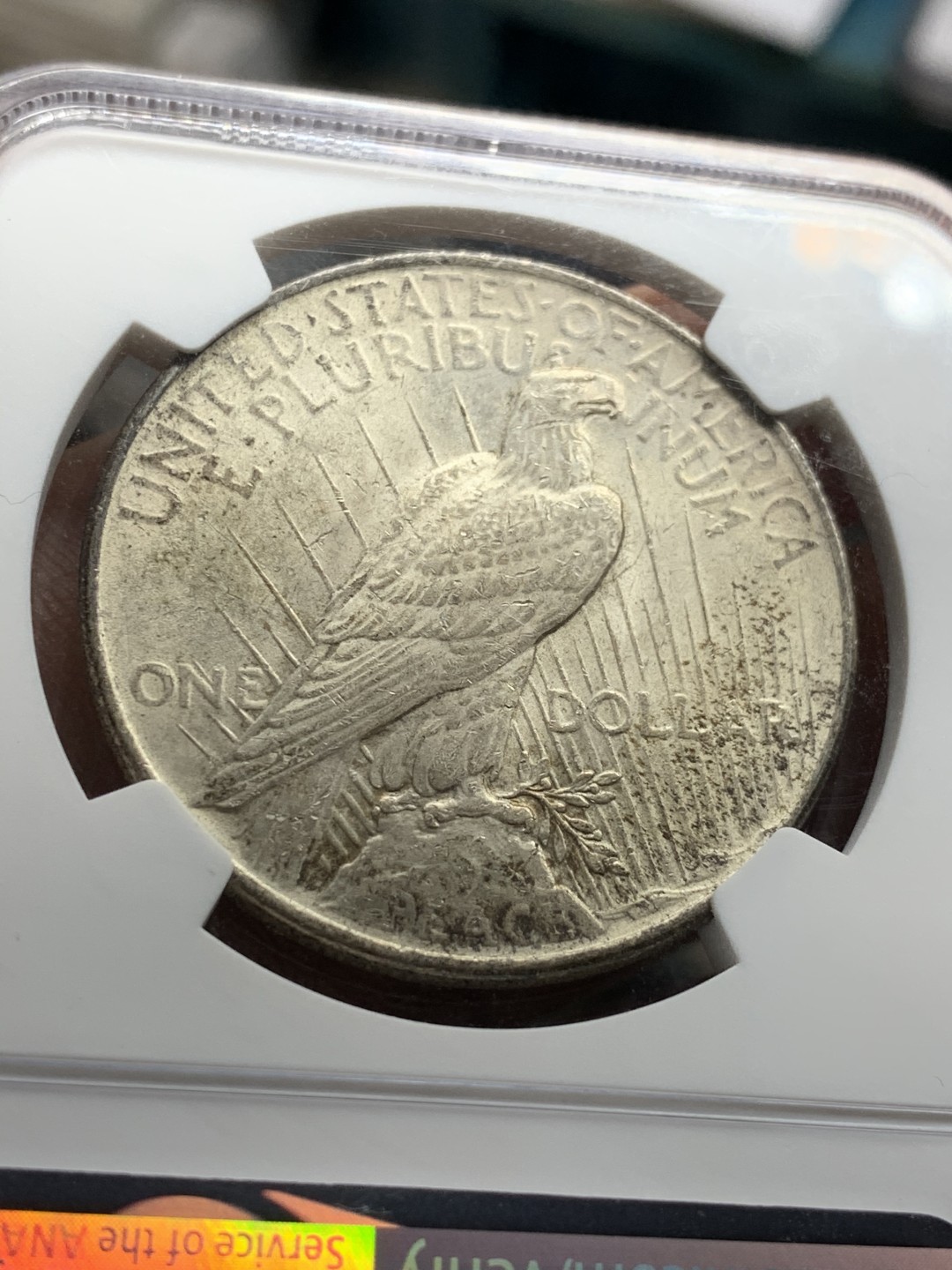 《竞宝斋》第49场-本周日，周一2场连拍（全场不限金额包邮） NGC MS62 美国 1922年 和平银币 双面包浆 女神面黑包浆 双面底板光感不错