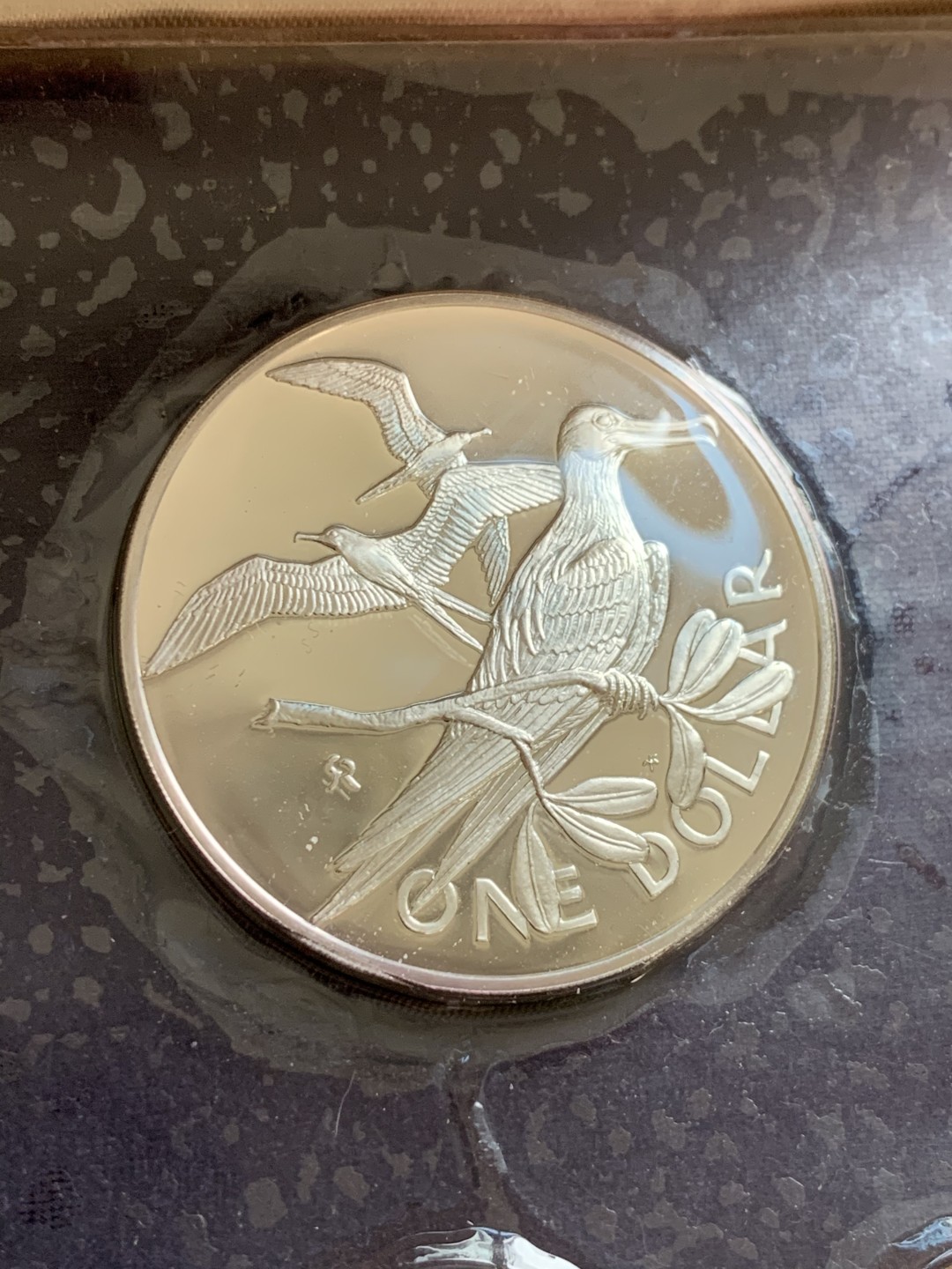 《竞宝斋》第49场-本周日，周一2场连拍（全场不限金额包邮） 英属 维京群岛  1973年 盒装 6枚装套币  含一枚25.7克925大银币  原封未氧化 状态一流