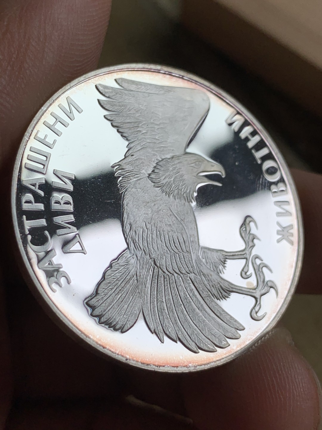 《竞宝斋》第49场-本周日，周一2场连拍（全场不限金额包邮） 保加利亚1992年动物鹰100列弗精制大银币一枚。925银，直径38.61mm，重量23.33g