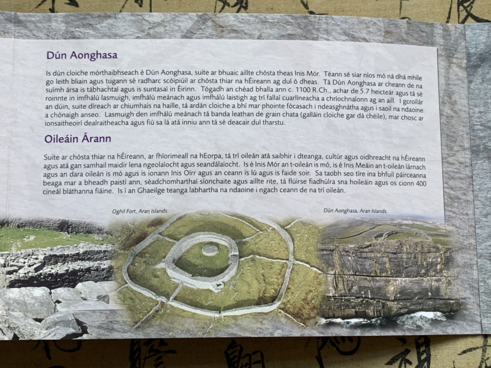 《竞宝斋》第49场-本周日，周一2场连拍（全场不限金额包邮） 卡装 爱尔兰2007年 8枚套 欧元 完美状态