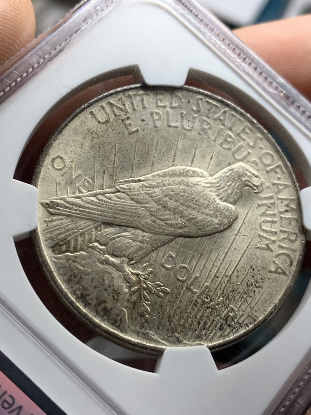 《竞宝斋》第49场-本周日，周一2场连拍（全场不限金额包邮） NGC MS62 美国 1922年 和平银币 双面包浆 女神面黑包浆 双面底板光感不错