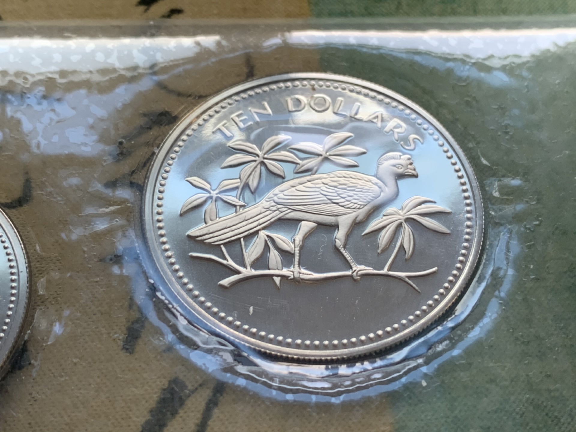 《竞宝斋》第49场-本周日，周一2场连拍（全场不限金额包邮） 原盒证书 伯利兹 1974年 鸟类 8枚套 富兰克林造币厂 精制纪念币 银？镍？