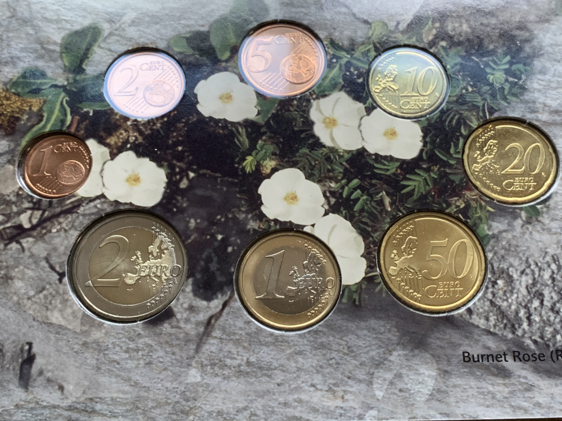 《竞宝斋》第49场-本周日，周一2场连拍（全场不限金额包邮） 卡装 爱尔兰2007年 8枚套 欧元 完美状态