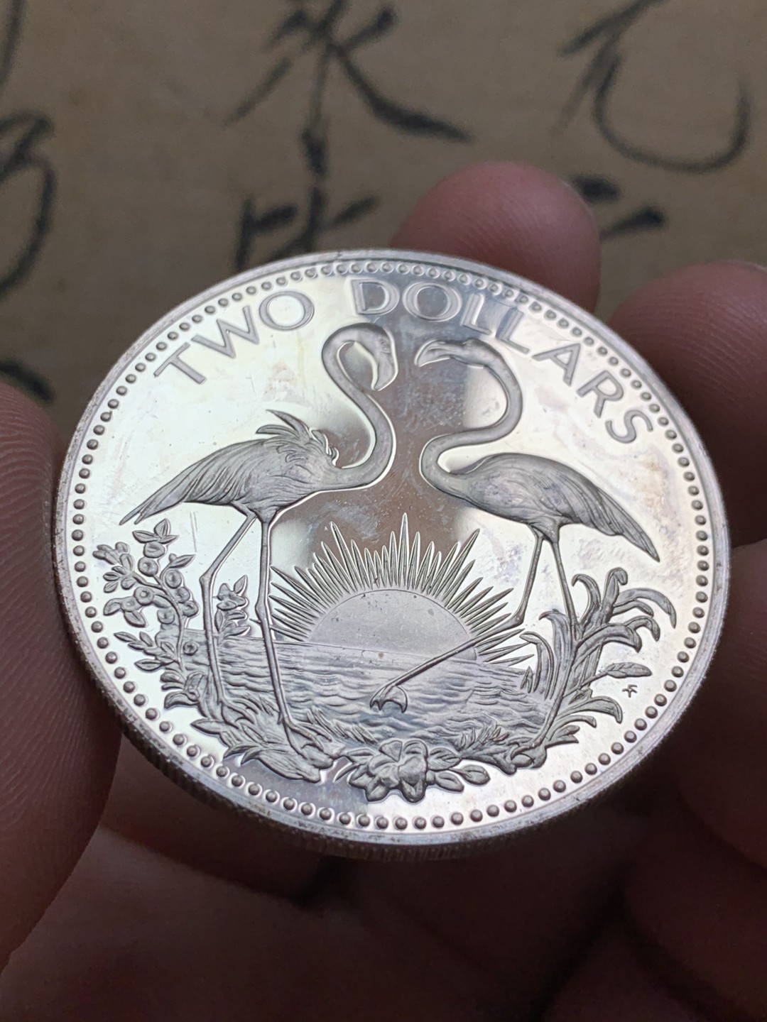 《竞宝斋》第49场-本周日，周一2场连拍（全场不限金额包邮） 巴哈马1978年火烈鸟2元精制大银币一枚。925银，直径40mm，重量29.8g