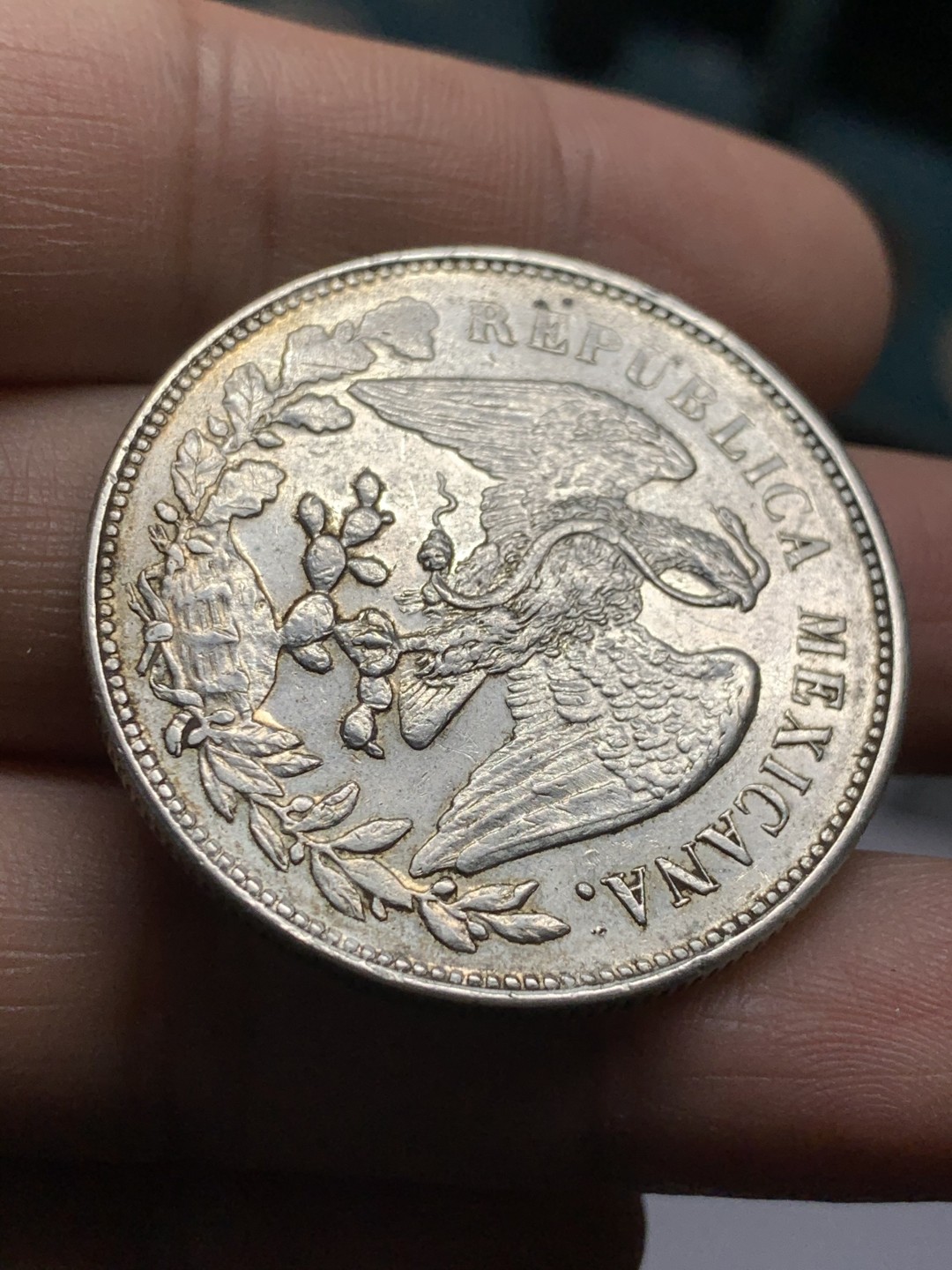 《竞宝斋》第49场-本周日，周一2场连拍（全场不限金额包邮） 墨西哥 1900年 MO AM 直边鹰洋 1比索 大银币 爆羽好品 可以收藏