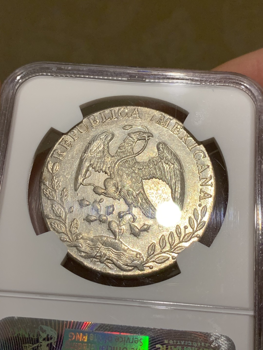 《竞宝斋》第49场-本周日，周一2场连拍（全场不限金额包邮） NGC MS63 稀少 OA版 墨西哥 鹰洋 银币 难得高分 OA版 裸币都是作为XF-AU的存在 很少MS