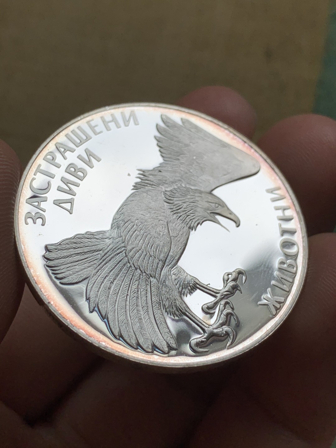《竞宝斋》第49场-本周日，周一2场连拍（全场不限金额包邮） 保加利亚1992年动物鹰100列弗精制大银币一枚。925银，直径38.61mm，重量23.33g