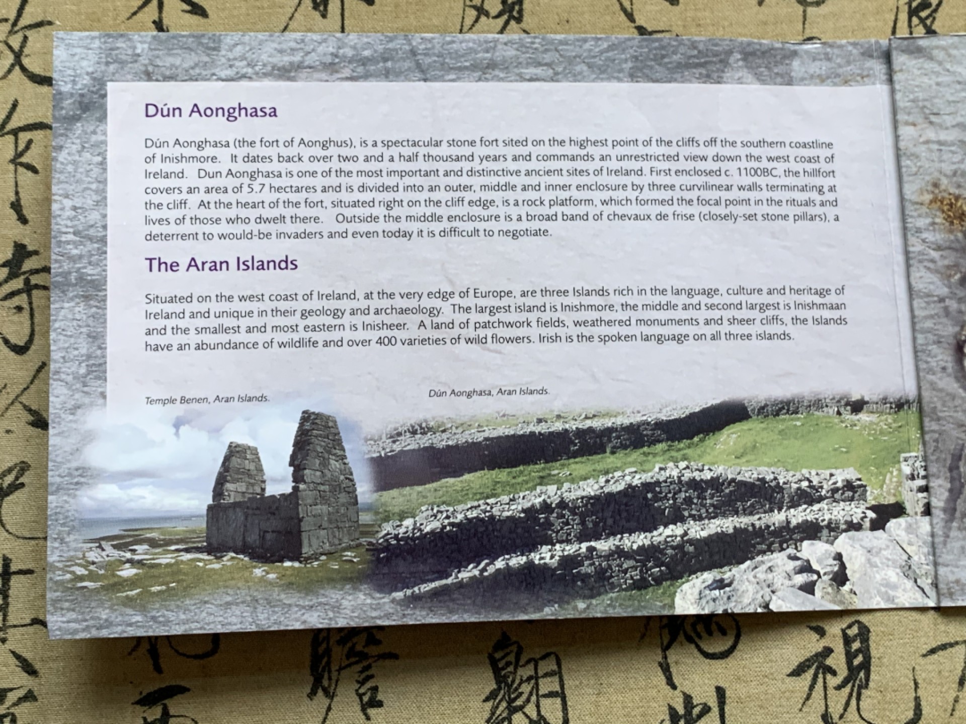 《竞宝斋》第49场-本周日，周一2场连拍（全场不限金额包邮） 卡装 爱尔兰2007年 8枚套 欧元 完美状态