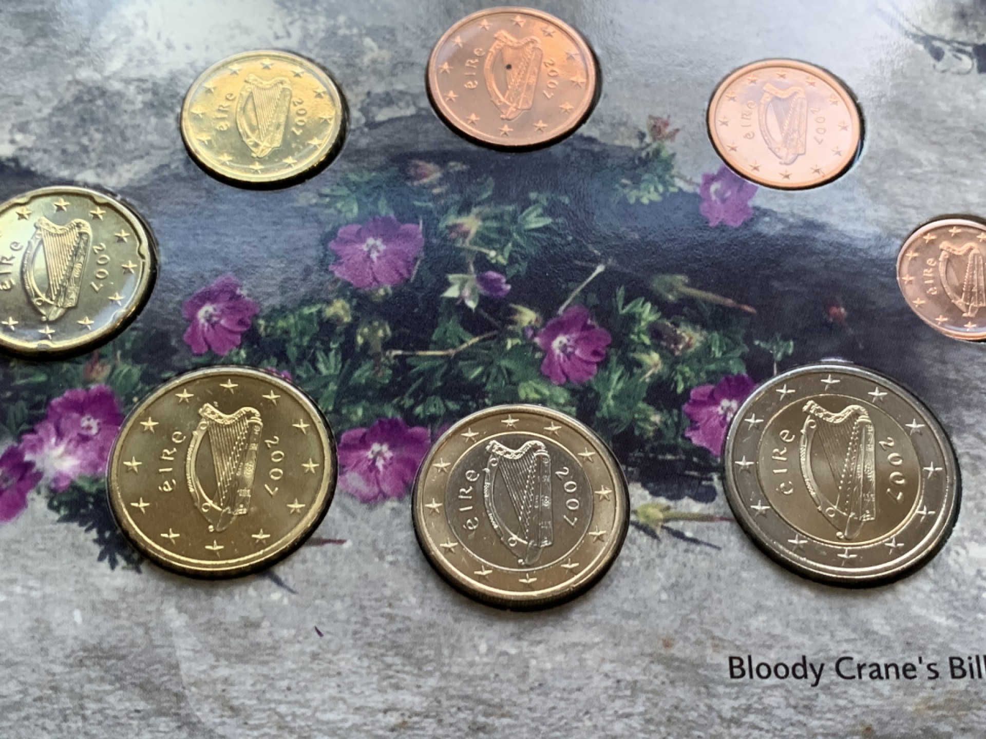 《竞宝斋》第49场-本周日，周一2场连拍（全场不限金额包邮） 卡装 爱尔兰2007年 8枚套 欧元 完美状态