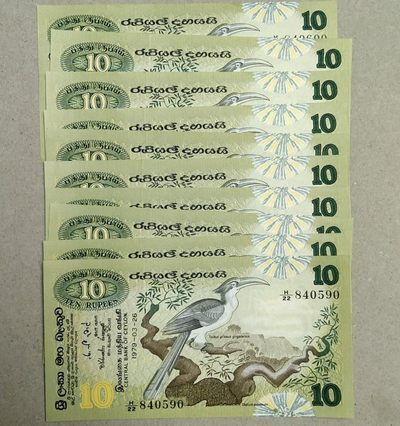 全新 一口价秒杀专场 快递包邮 0押金 0佣金 (偏远地区补邮费，疫情地区付款暂存。买好未到截止时间可以先私下付款次日发出) - 【840595】绝品无斑 萤光王
