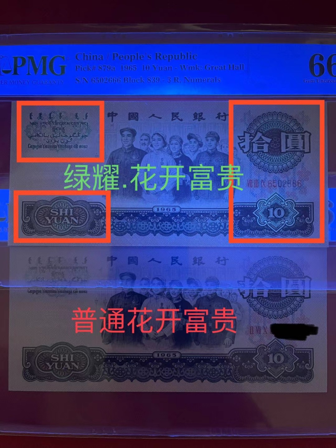 【王者微拍】4月18日精品大拍 PMG66分大团结特稀冠839冠➕绿耀.花开富贵豹子666 正反面超强荧光 正面绿色荧光透到背面➕背面红色花开富贵 只有839部分流水才有双面荧光 实属罕见 全程无347豹子靓号 目前全网唯一一张豹子 839-6502 666