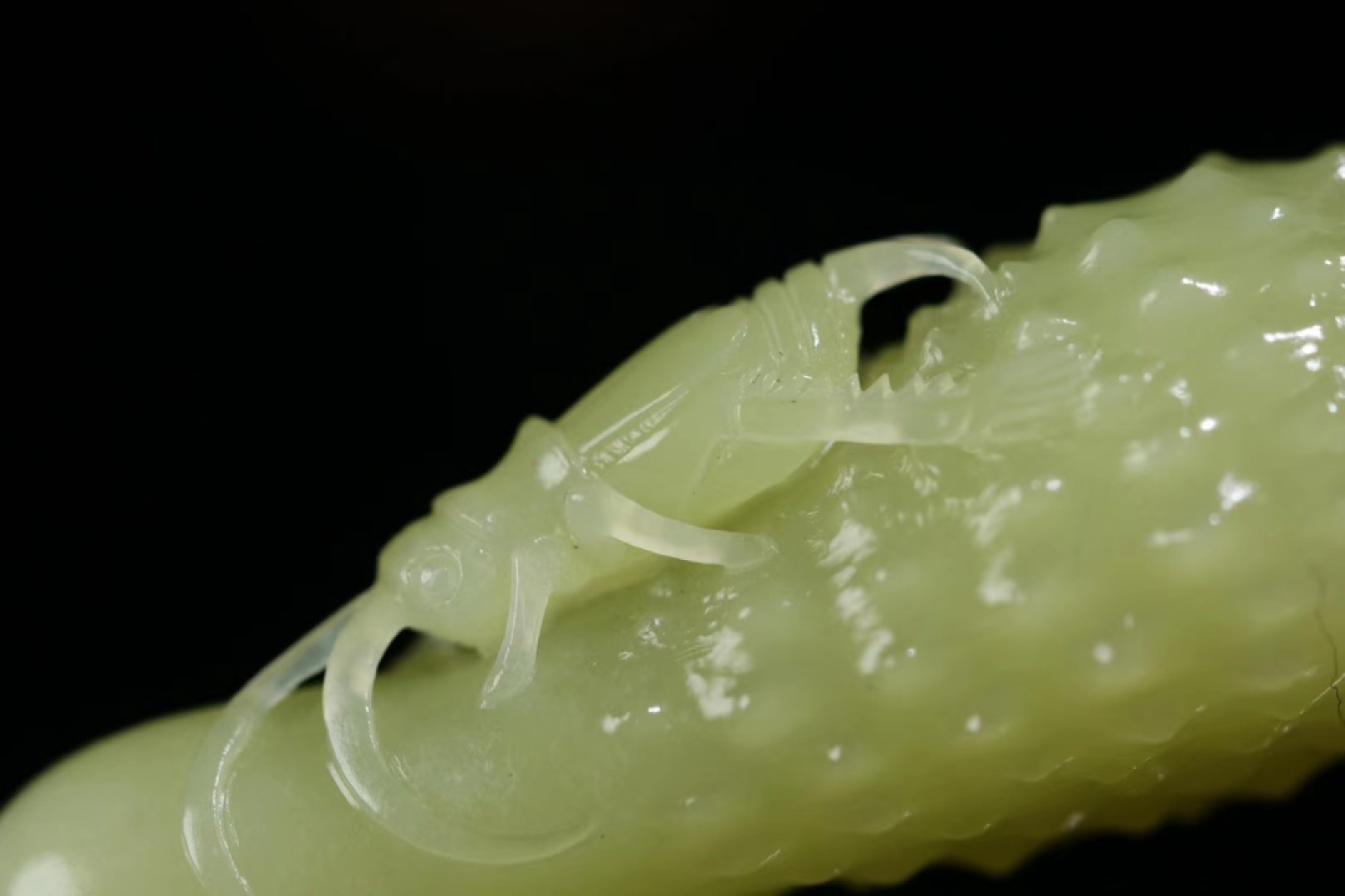 【福寿绵延】挂件