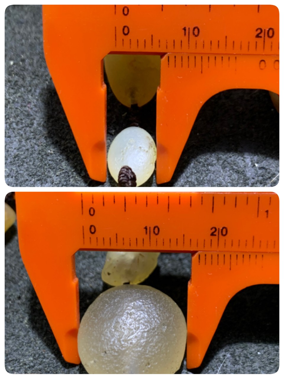 精美戈壁彩珠玛瑙原石项链一条
