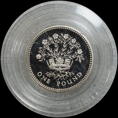 【雨安收藏】第012期 世界各国币章 0元起 晚上7:30 - 世界Great Britain	英国1镑1986年加厚 19克