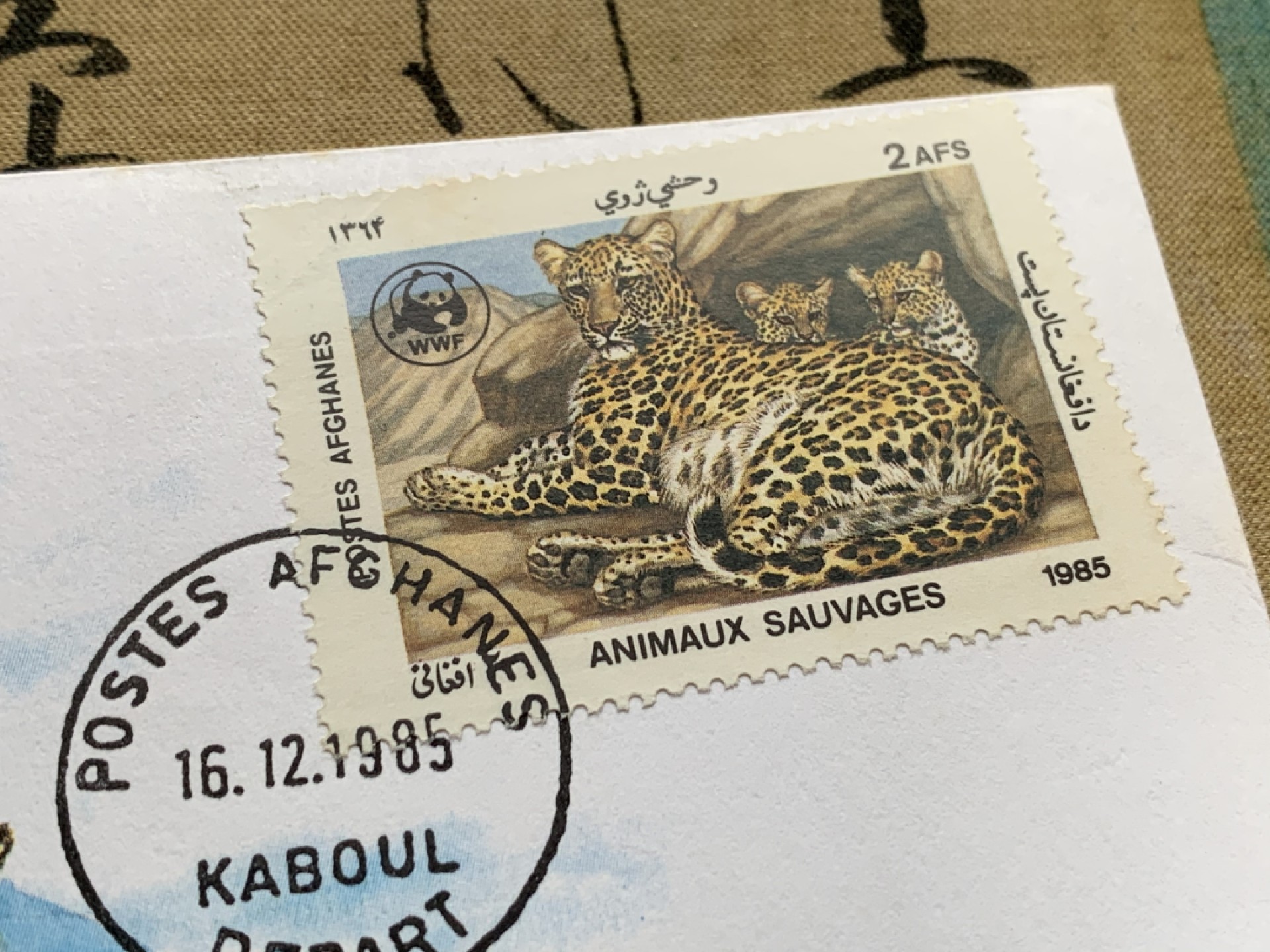 《竞宝斋》第51场-本周日，周一2场连拍（全场不限金额包邮） 1987年阿富汗世界野生动物保护雪豹镍币邮币卡装