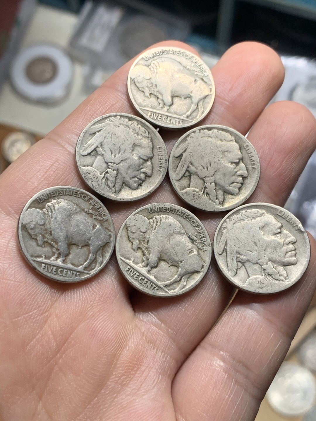 《竞宝斋》第51场-本周日，周一2场连拍（全场不限金额包邮） 美国印地人牦牛5美分镍币6枚