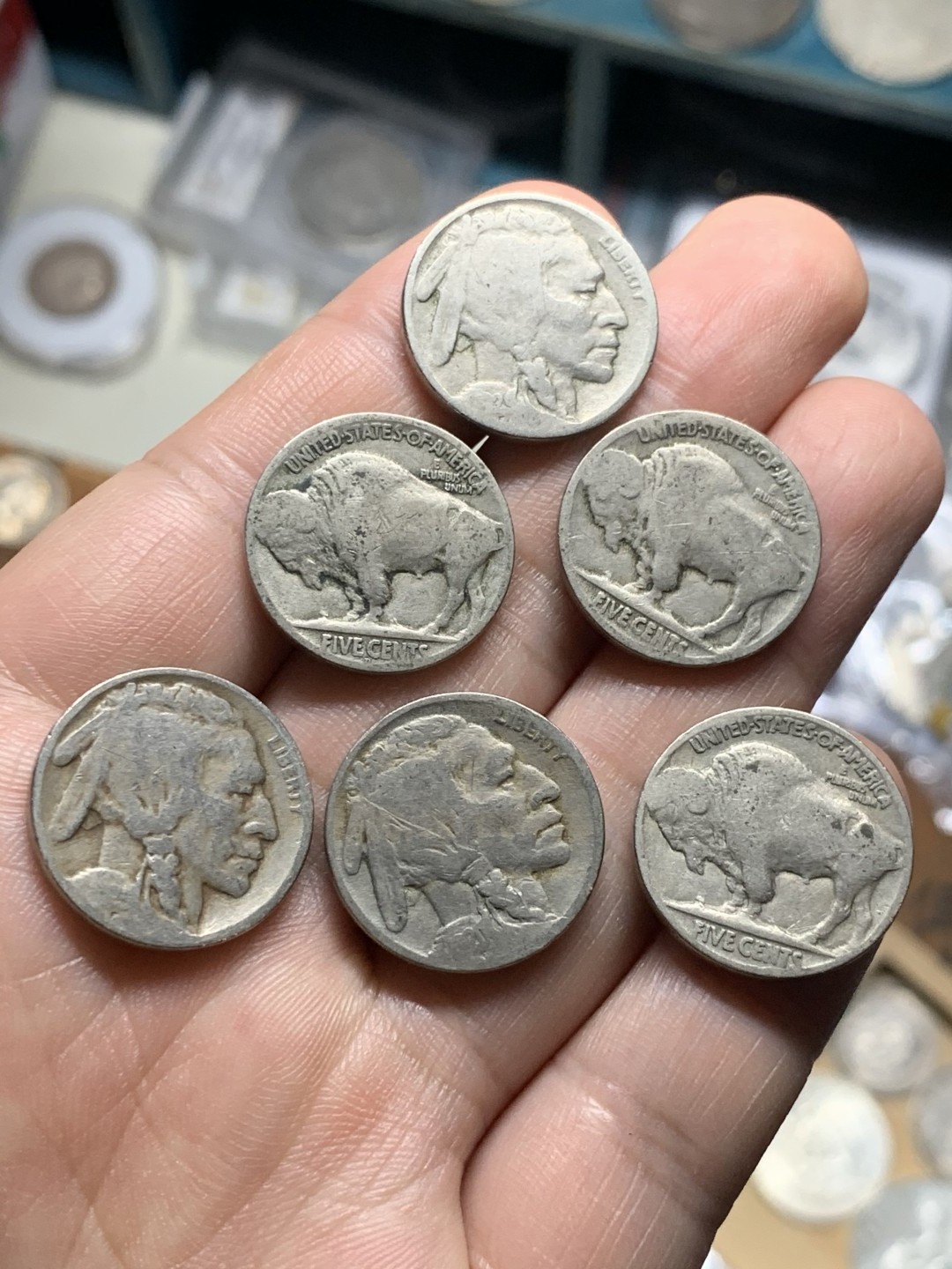 《竞宝斋》第51场-本周日，周一2场连拍（全场不限金额包邮） 美国印地人牦牛5美分镍币6枚