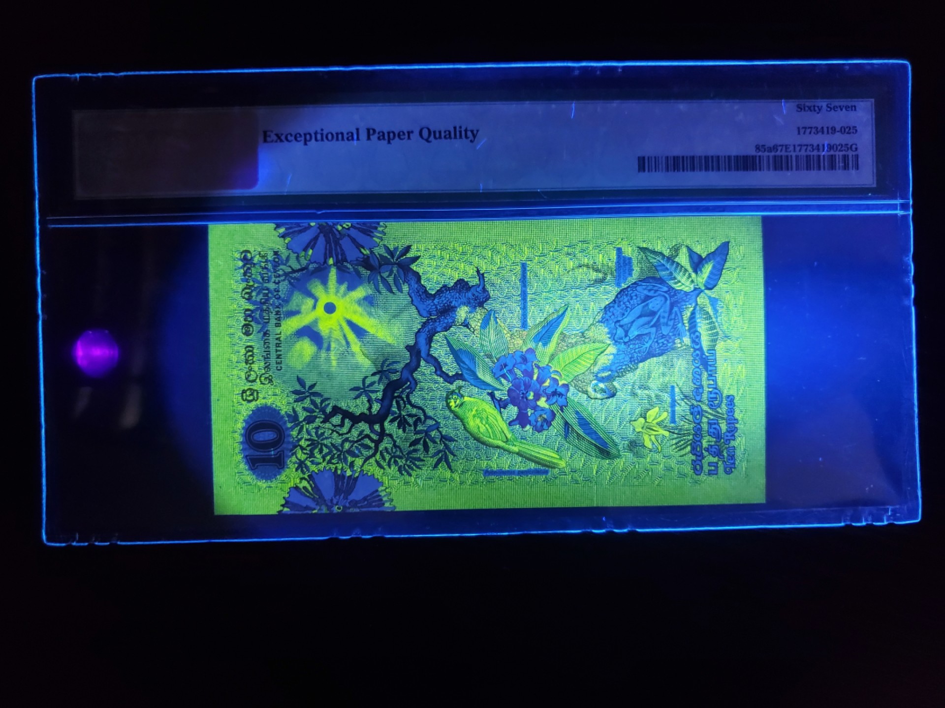 外钞收藏家》第一百七十六期拍卖 斯里兰卡10卢比 经典花鸟钞代表 全套里只有10和100是满背荧光 最高性价比 地区潮湿高分难出 该张67分绝品品相