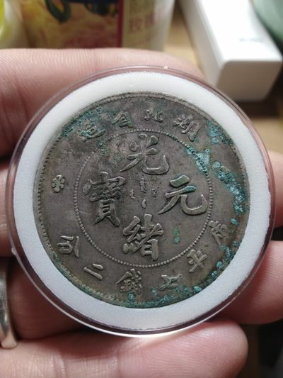 湖北龙一对 - 湖北龙一对