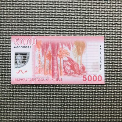 🇨🇱智利2021年5000比索，2020年1000比索，AA首发冠小号 - 2012年5000比索 首发冠+小号 AA00000021