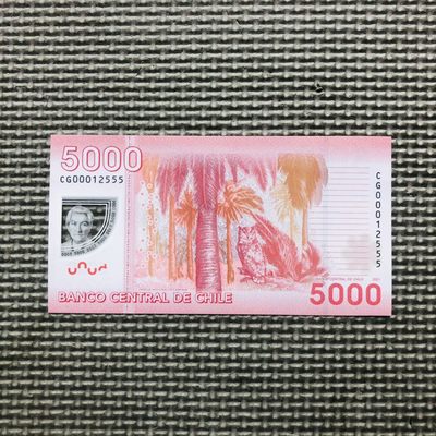 🇨🇱智利2021年5000比索，2020年1000比索，AA首发冠小号 - 豹子号 CG00012555