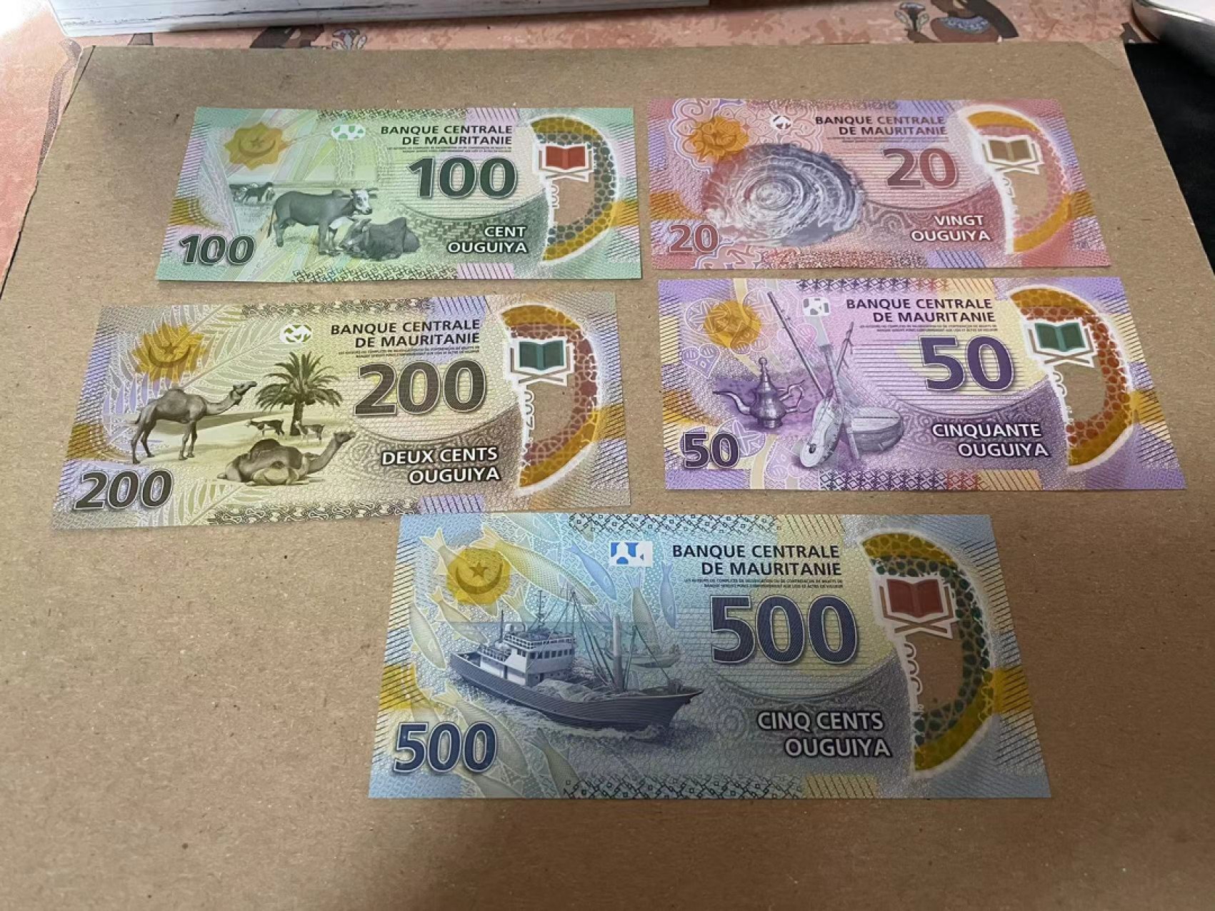 【Blue Auction】✨世界纸币精拍第180期（共73拍） 【一组5张】毛里塔尼亚 2017年20-500乌吉亚 全新UNC