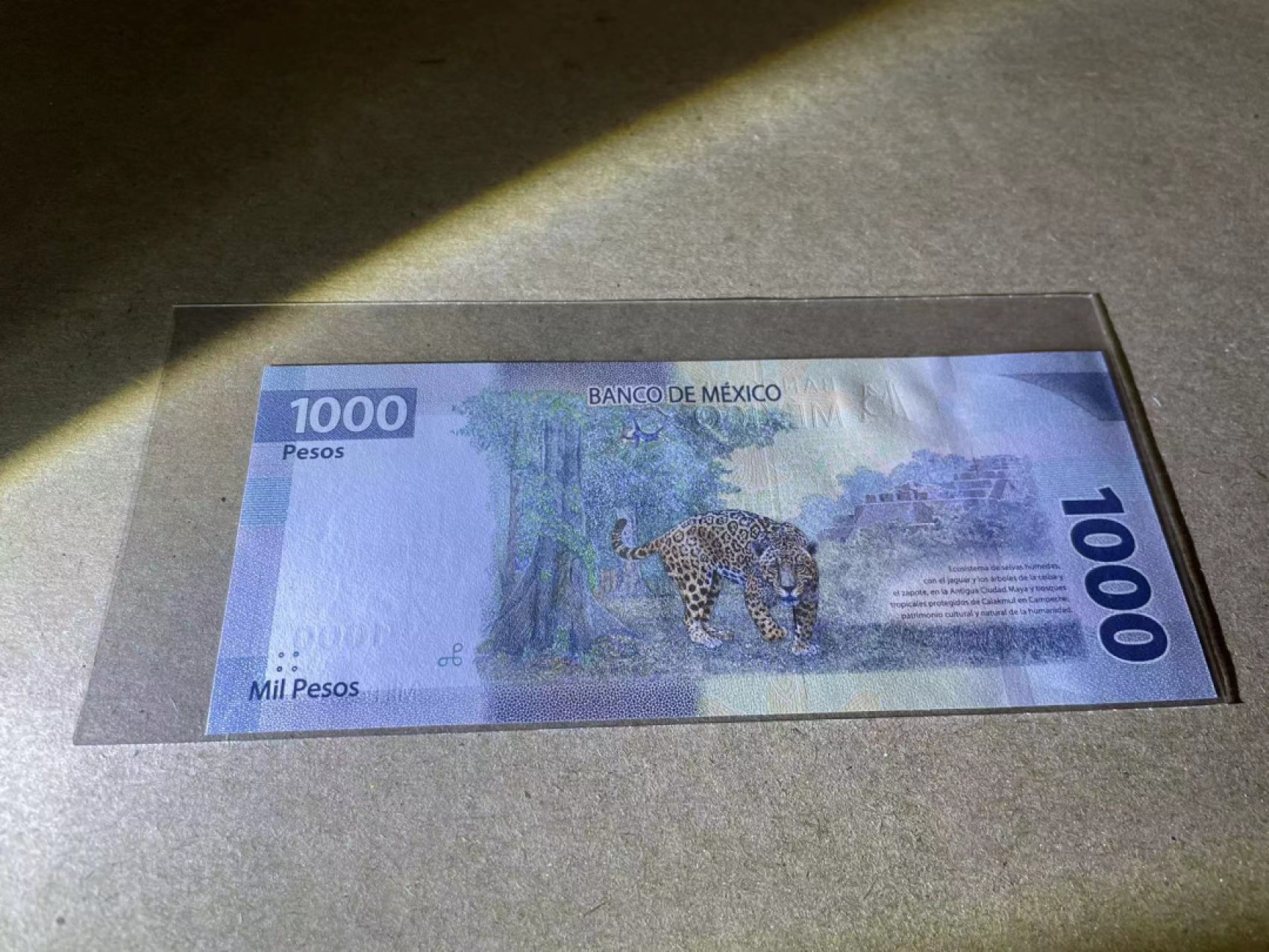 【Blue Auction】✨世界纸币精拍第180期（共73拍） 墨西哥2019(2020)年 1000比索 全新UNC