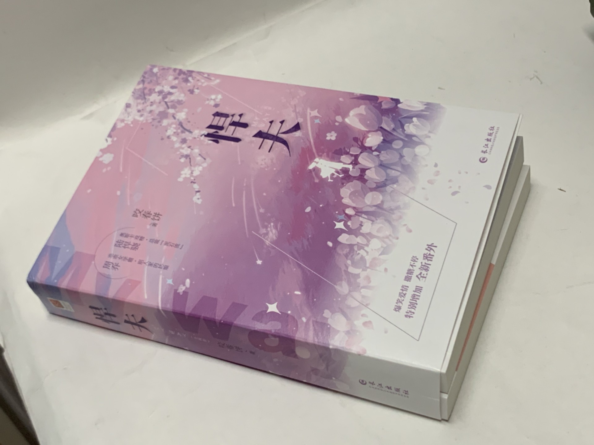 零元拍：言情小说作家 咬春饼 亲笔签名著书《悍夫》上下集