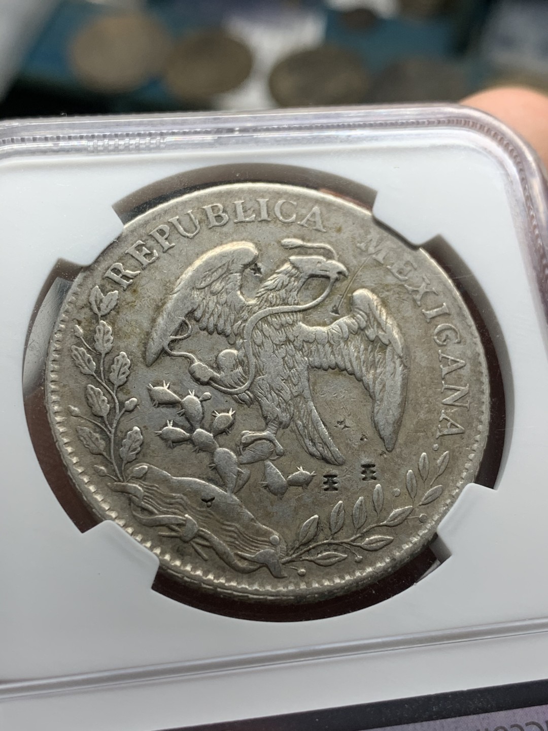 《竞宝斋》第53场（献给最美的劳动者，祝五一快乐！）-本周日，周一2场连拍（全场不限金额包邮）  NGC 评级 墨西哥1881年 鹰洋银元 自由帽面太阳戳 鹿面五星戳 汉字双“王”戳 ，戳记非常的特别，值得收藏