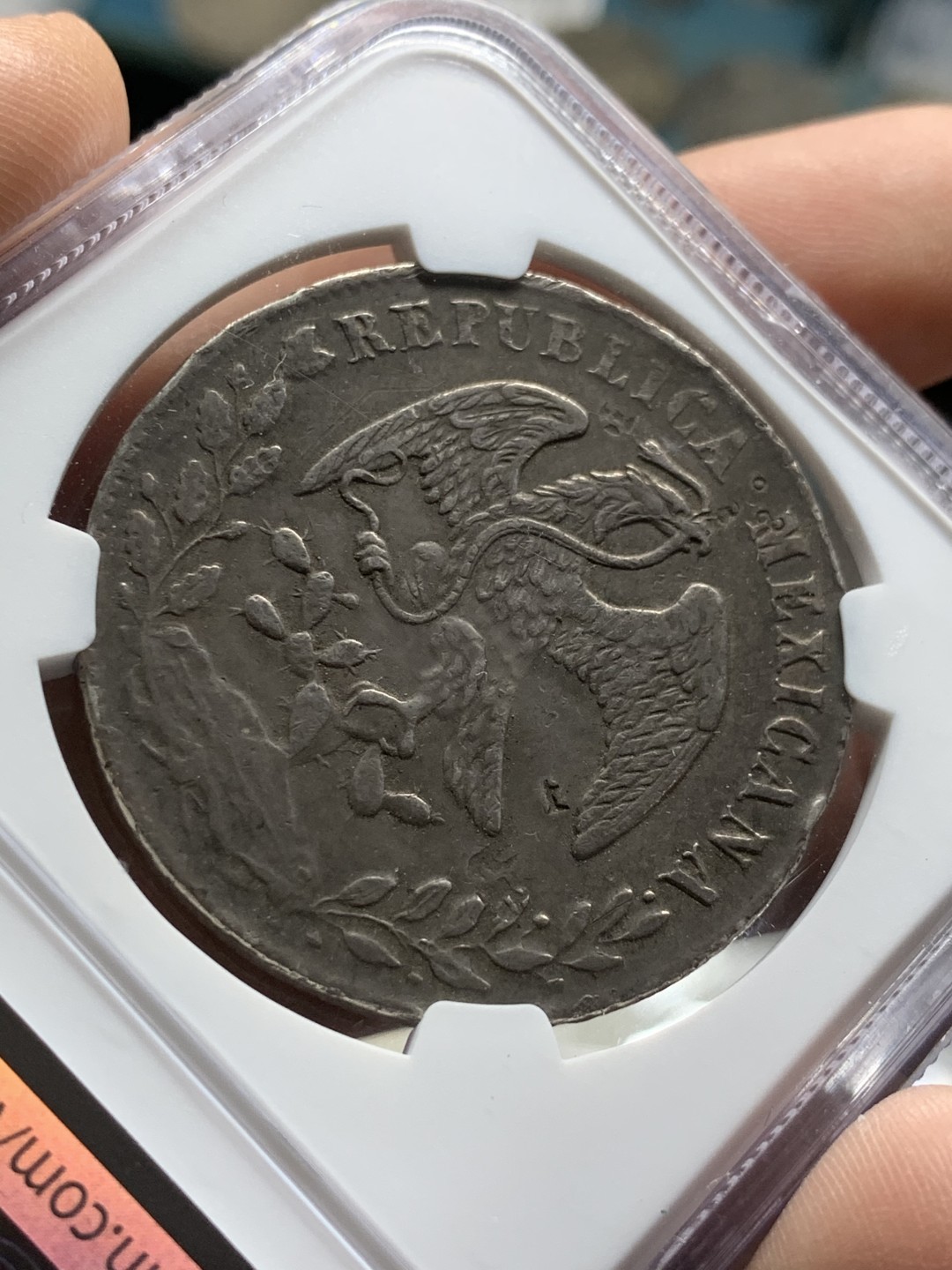 《竞宝斋》第53场（献给最美的劳动者，祝五一快乐！）-本周日，周一2场连拍（全场不限金额包邮） NGC XF 墨西哥1878年 墨西哥鹰洋(HOJA)原汁原味 双面黑包浆 鹰面铜钱样戳 另带汉字“上”字戳