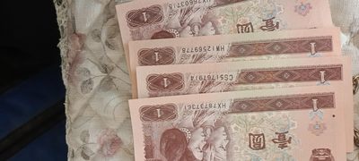 961红灯笼 - 961红灯笼