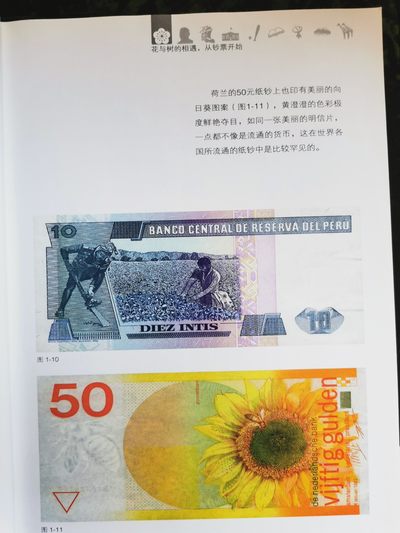 外钞书籍-《遇见钞票》-正版旧书 外钞书籍-《遇见钞票》-正版旧书