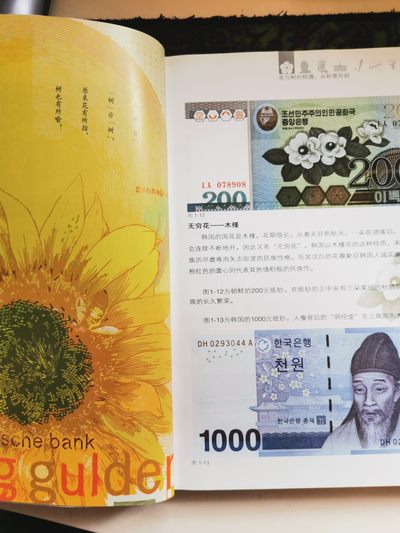 外钞书籍-《遇见钞票》-正版旧书 外钞书籍-《遇见钞票》-正版旧书