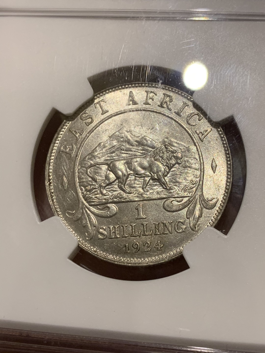 《竞宝斋》第54场-本周日，周一2场连拍（全场不限金额包邮） NGC-AU58 英属东非 1924年 乔治五世 1先令 银币 唯一第四名 比这个高分仅三枚