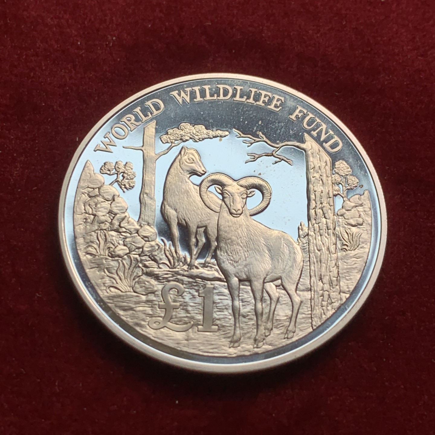 《竞宝斋》第54场-本周日，周一2场连拍（全场不限金额包邮） 塞浦路斯1986年羚羊精致银925银 大银币