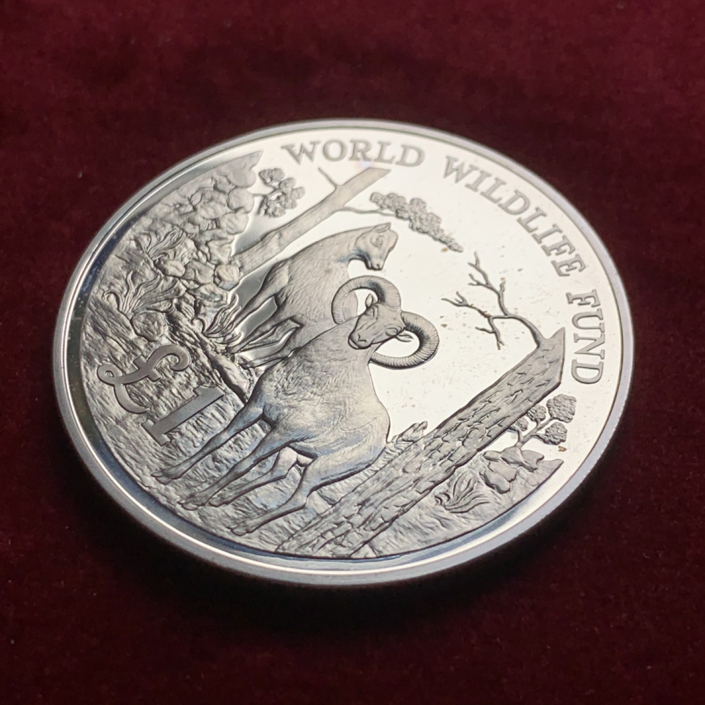 《竞宝斋》第54场-本周日，周一2场连拍（全场不限金额包邮） 塞浦路斯1986年羚羊精致银925银 大银币