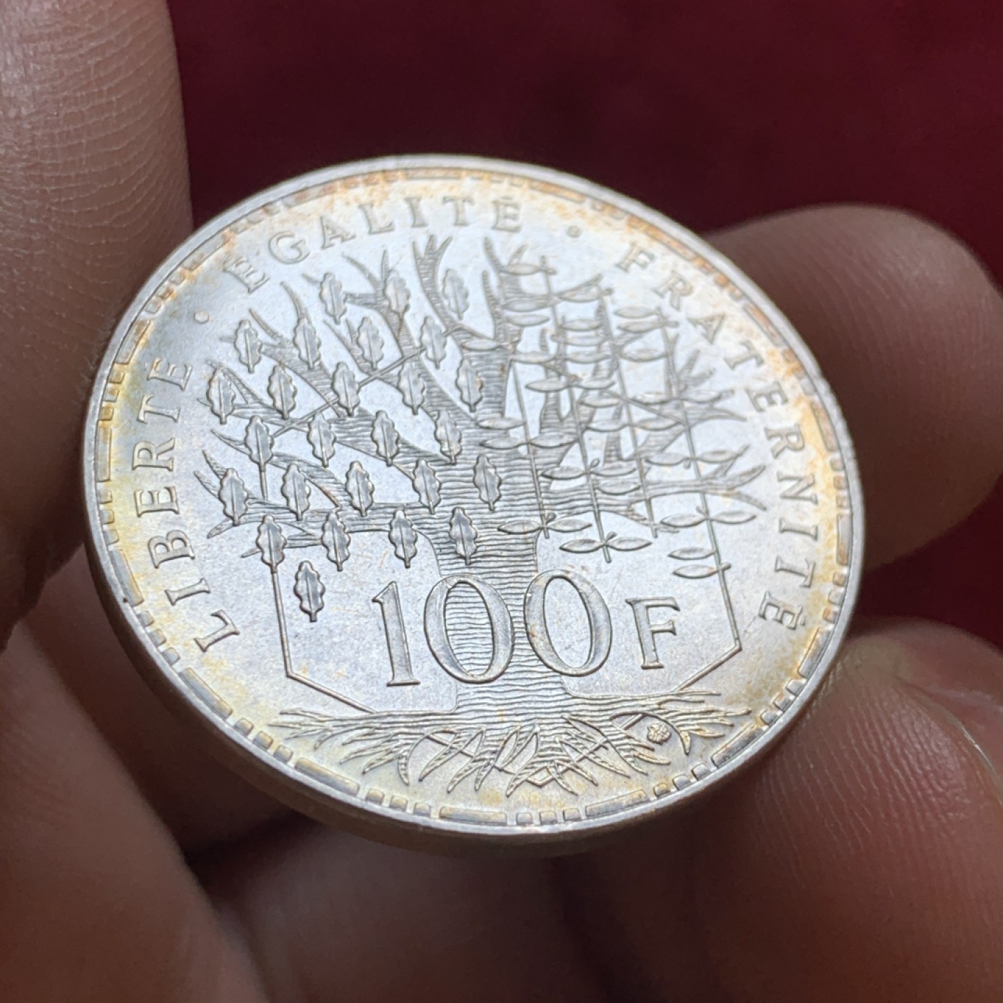 《竞宝斋》第55场-本周日，周一2场连拍（全场不限金额包邮） 法国1983年 万神庙 100法郎 银币