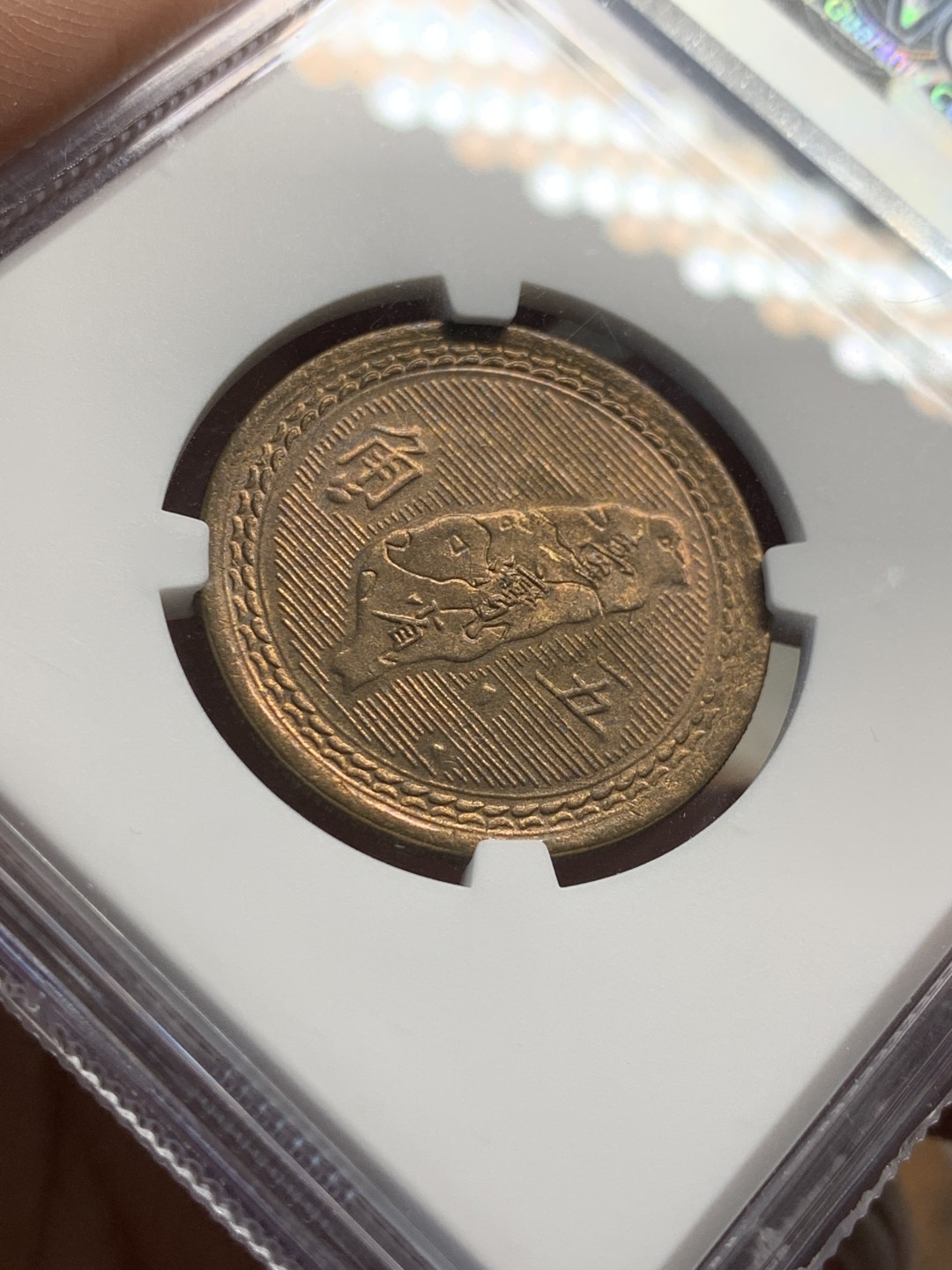 《竞宝斋》第55场-本周日，周一2场连拍（全场不限金额包邮） NGC MS64 中国 台湾省 1954年 孙像5角  铜币